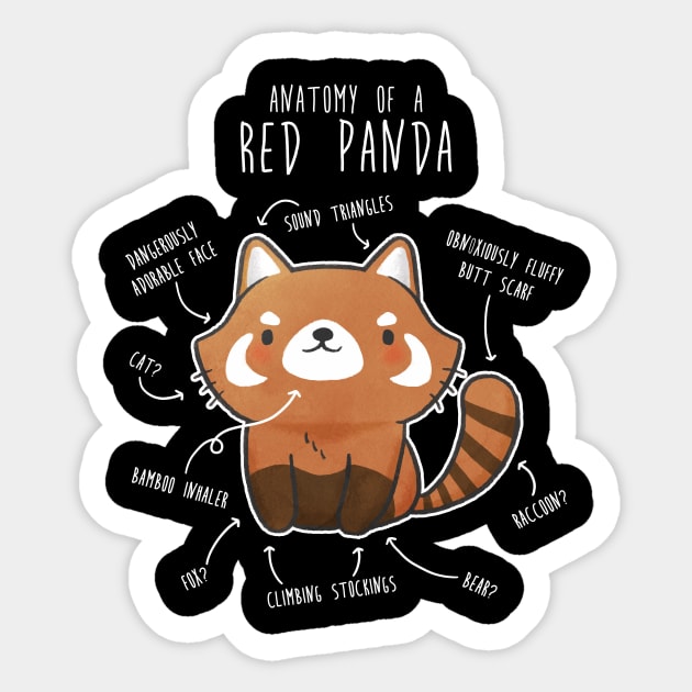 Red Panda Animal Anatomy - Red Panda - Sticker | TeePublic